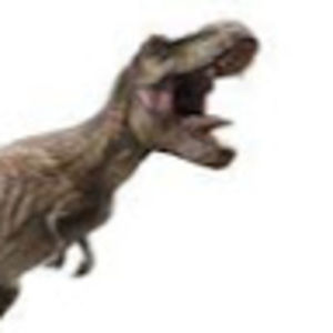 Meet your Posher, Jayden